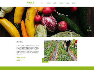 养殖农场鱼塘垂钓网站制作建设做网站