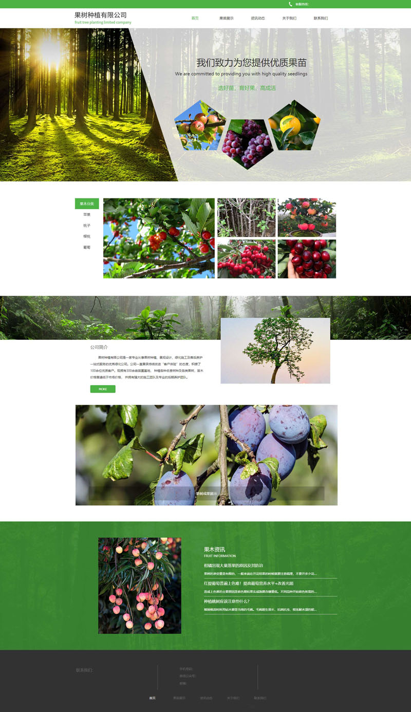 建站案例.jpg 建站案例.jpg